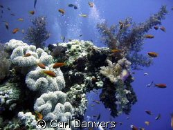 Rush Hour by Carl Danvers 
